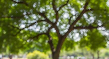 Fototapeta premium Blurry close-up of a leafy green tree canopy and trunk, in soft focus, bright