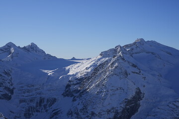 GHIACCIAIO GRUPPO ADAMELLO INVERNO