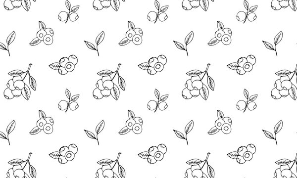 Seamless pattern with hand drawn blueberry on white background