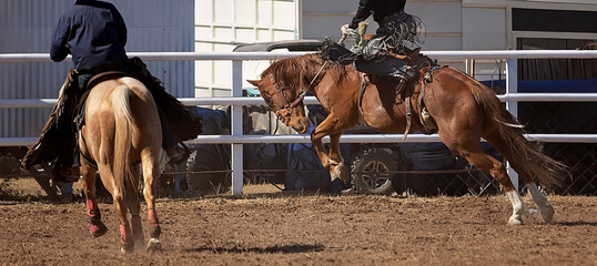 Rodeo cowboy riding bucking horse near fence with another rider in arena © Jackson Photography
