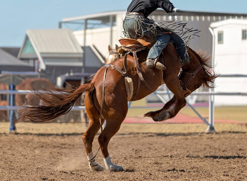 Rodeo rider on bucking horse in mid jump during bronc riding event outdoors