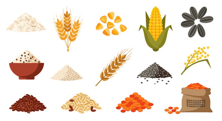 Variety of grains and seeds rice wheat corn sunflower and more vector illustration