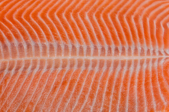 Texture of longitudinal section of the side of salmon fillet