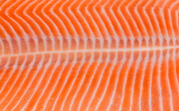 Texture of longitudinal section of the side of salmon fillet