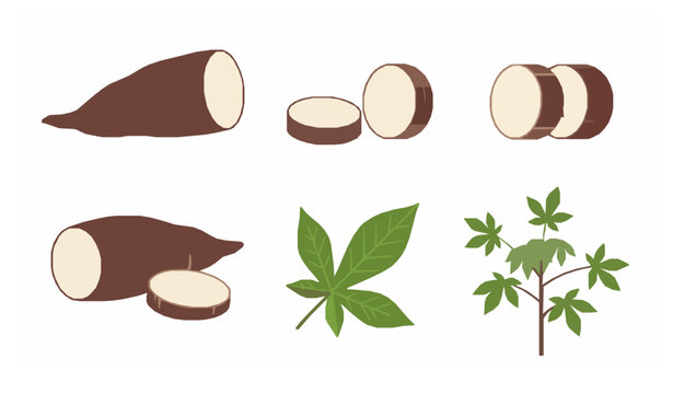 Minimal cassava icon set flat vector illustration isolated