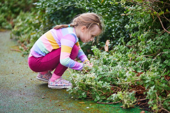 Curious young girl in a colorful striped sweater squatting down and examining green plants in a park or garden