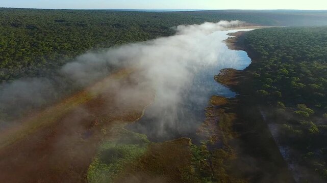 The winding waterways of Okavango Delta, with mist rising from the water. Sunlight shines on the green trees and the river, creating a beautiful view of nature.