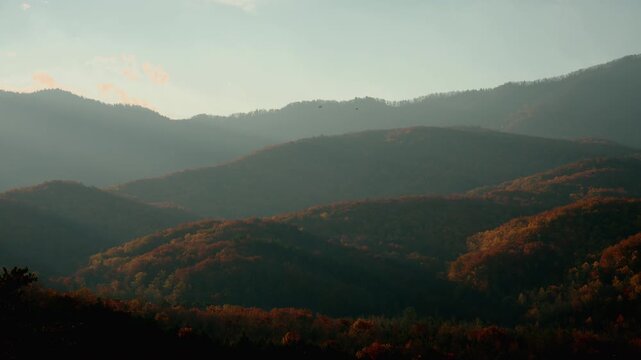Wide panoramic pov of mountain ridges covered in colorful autumn forest under soft golden-hour light. Seasonal beauty, nature, and a calm outdoor atmosphere.