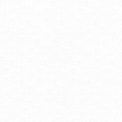 Fototapeta premium White embossed floral seamless texture with delicate relief effect. Clean elegant background perfect for luxury packaging, stationery, wallpapers, and minimal designs.