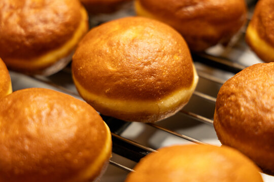 Freshly fried golden doughnuts cooling on wire rack after deep frying for traditional Fat Thursday celebration homemade sweet pastry dessert and delicious culinary background.