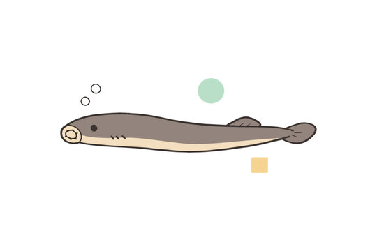 Illustrated lamprey with minimalist design and simple shapes