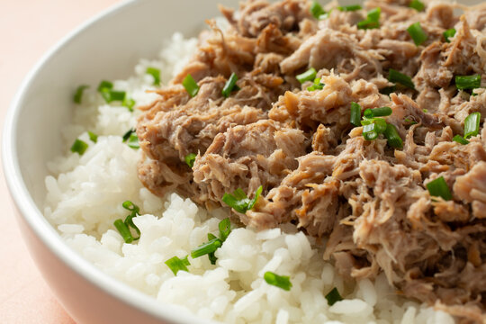 A closeup view of a bowl of kalua pork and rice.