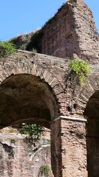 sunlit ancient roman brick arches weathered stonework creeping greenery partially ruined tower behind them clear blue sky basilica maxentius reveals rising view rome italy empire 