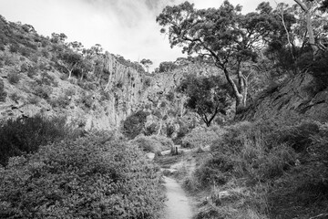 black and white landscape