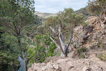 the road to the mountain