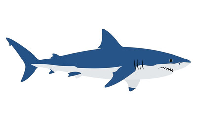 Fototapeta premium Great White Shark Illustration - Ocean Predator