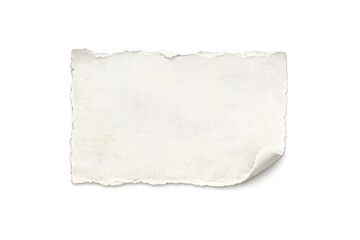 Fototapeta premium Torn piece of paper with ragged edges and curled corner, old blank note, transparent background for messages