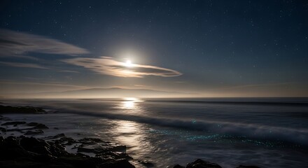 Night seascape with moon reflections on ocean water and dark rocky shore