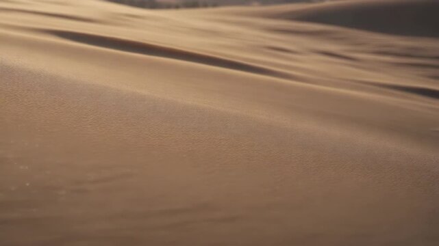 Slow motion of sand rippling like water under a heavy wind, sunlight creating high contrast on the textures, abstract and artistic nature.