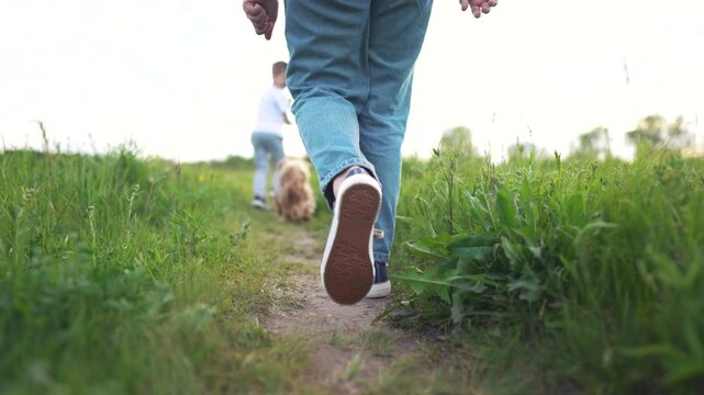 Person walking with a dog. A child is walking a dog in the grass. Casual male walking outdoors. An individual strolling along with a canine lifestyle.