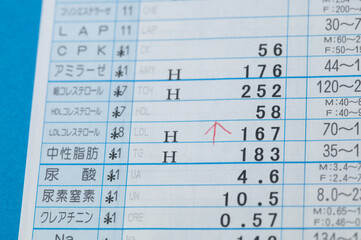 コレステロールと中性脂肪の高い値を示している血液検査の結果