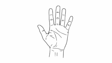 Obraz premium Open hand illustration showing fingers and palm lines.
