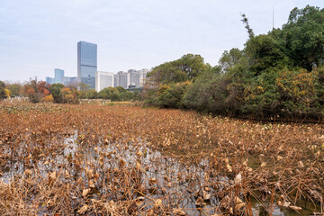 Lakeside modern office building in China