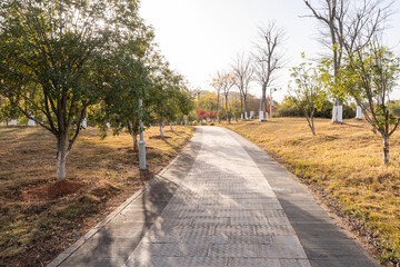 Fototapeta premium The road of City Park in China