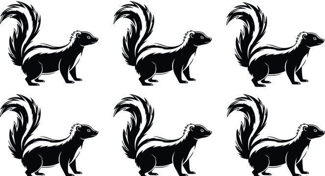 Black vector silhouette set of six identical skunks with bushy tails and white stripes for wildlife nature animal protection and forest scavenger design,