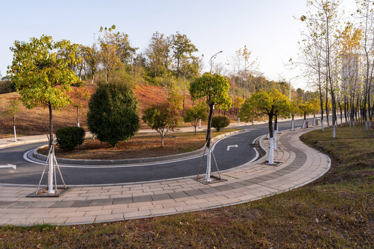 Empty urban road and buildings in the city