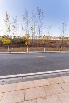 Empty urban road and buildings in the city