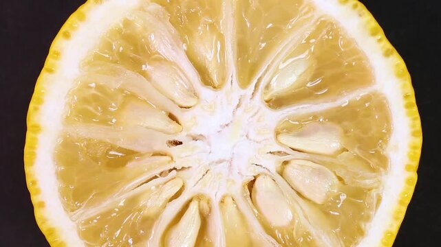 黒背景の柚子の断面　回転