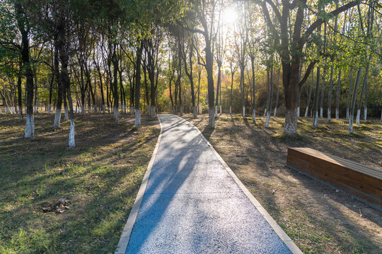 The road of City Park in China