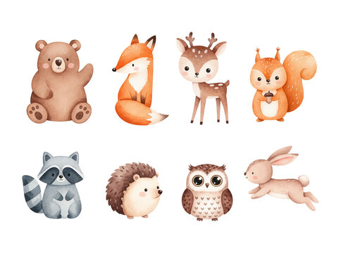 Adorable Watercolor Woodland Animals Collection Bear Fox Deer Squirrel Raccoon Hedgehog Owl Rabbit Cute