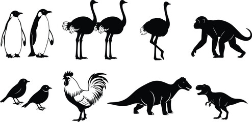 Black vector silhouette and line art set of diverse animals including penguins ostriches a monkey rooster and dinosaurs for zoo nature and prehistoric design, © Ashrat