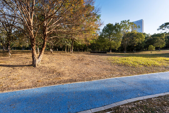 spring park and modern city