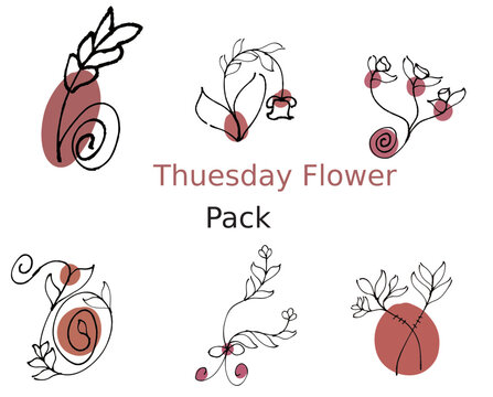 Thuesday Flower pack
