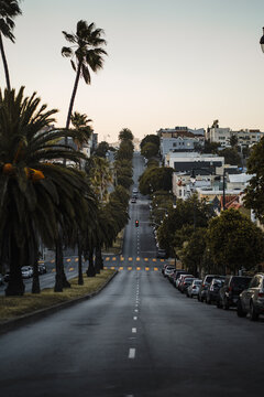 Longue rue avec palmier a San Francisco