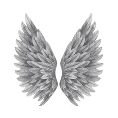 Obraz premium Grey watercolor angel wings illustration isolated PNG with Transparent Background