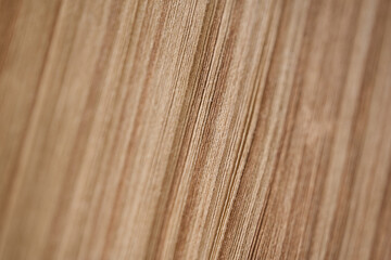 Macro Close-Up of Vintage Book Pages