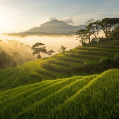 Creative workspace with laptop and coffee 36