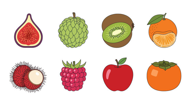 Colorful fruits assortment vector illustrations for healthy eating and design