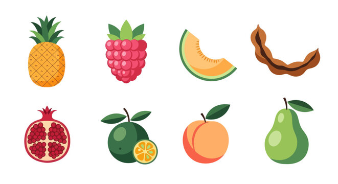 Colorful fruits collection pineapple raspberry melon pomegranate vector design
