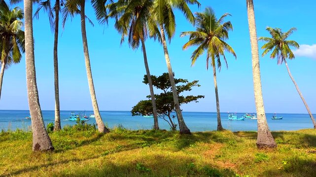 View of palm trees by beach with fishing boats in background under clear blue sky in daytime. Scene shows tall palm trees near beach. Fishing boats are visible in sea. Sunny day at the shore.