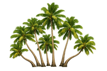 Naklejka premium Coconut palm trees with green fronds and brown trunks growing on an island, transparent background