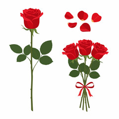 Naklejka premium valentine rose flower set vector illustration