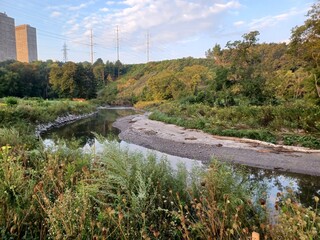 Obraz premium River Flows Through Green Field in Seton Park