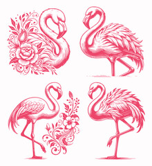 Pink Flamingo Vector Illustration Set with Floral Ornaments in Vintage Engraving Style