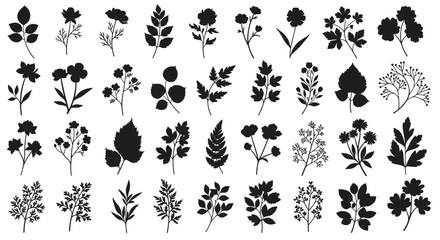 Fototapeta premium Set of Diverse Botanical Vector Silhouettes of Plants and Flowers on White