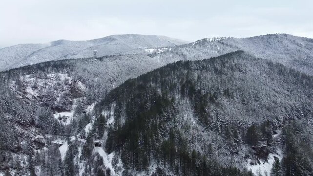 Mokra Gora. Tara Park. Black & White Winter Landscape. Serbia